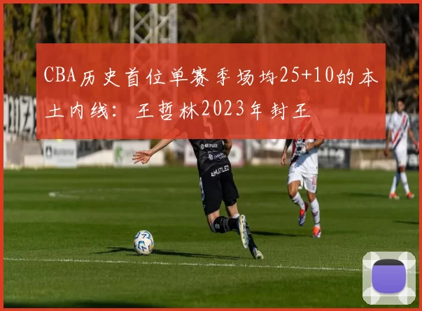 CBA历史首位单赛季场均25+10的本土内线:王哲林2023年封王