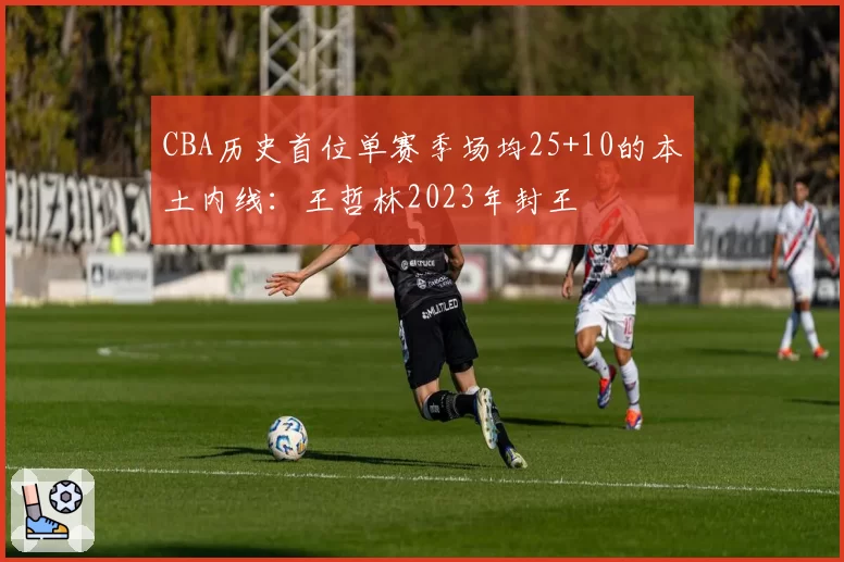 CBA历史首位单赛季场均25+10的本土内线：王哲林2023年封王