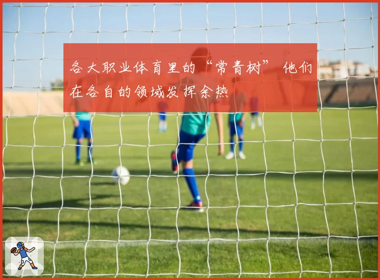 各大职业体育里的“常青树” 他们在各自的领域发挥余热