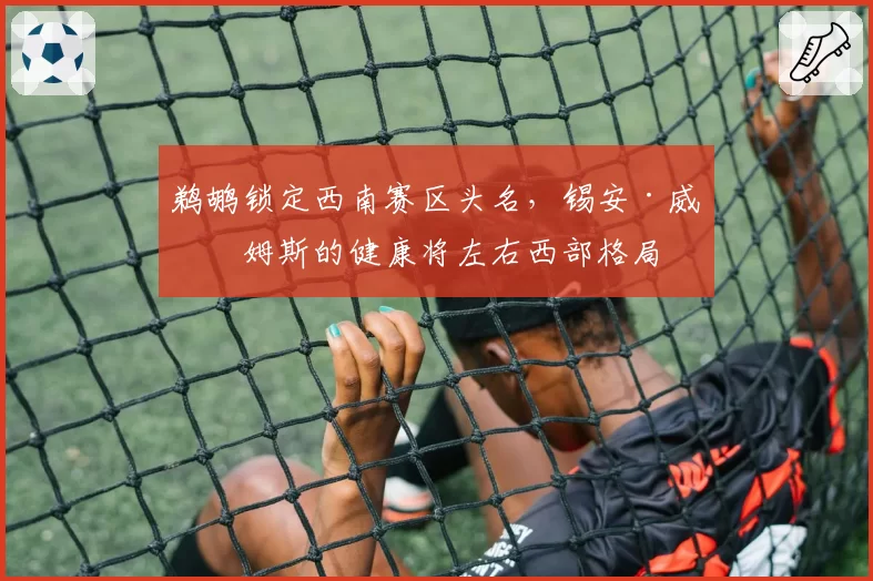 鹈鹕锁定西南赛区头名,锡安·威廉姆斯的健康将左右西部格局