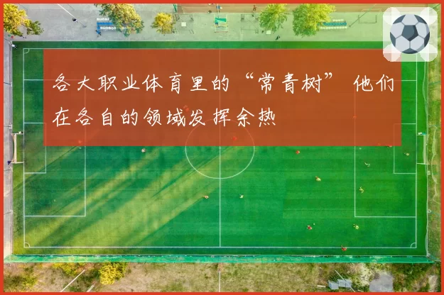 各大职业体育里的“常青树” 他们在各自的领域发挥余热